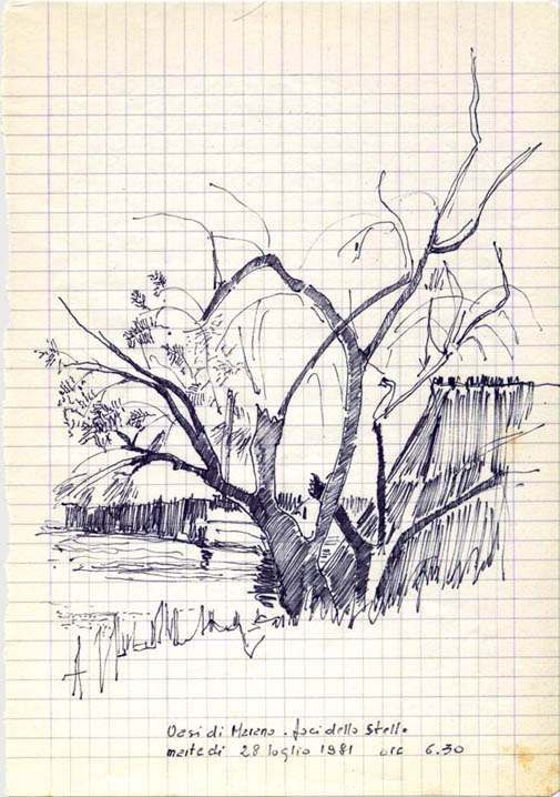 disegno casoni